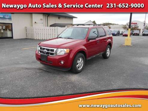 2011 Ford Escape XLT FWD for sale in Newaygo, MI