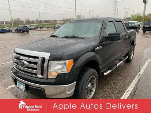 2010 Ford F-150 XLT - truck - - by dealer - vehicle for sale in Shakopee, MN