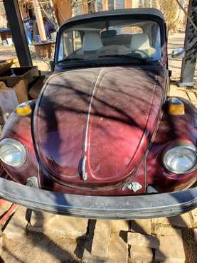 Volkswagen beetle - cars & trucks - by owner - vehicle automotive sale for sale in Albuquerque, CO