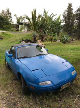 Adorable and exhilarating for sale in Naalehu, HI