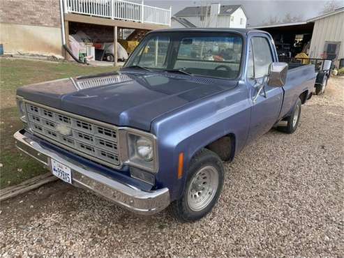 1977 Chevrolet C-Series for sale in Cadillac, MI