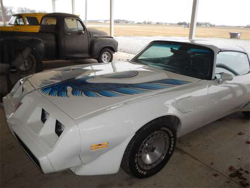 1981 Pontiac Firebird for sale in Celina, OH