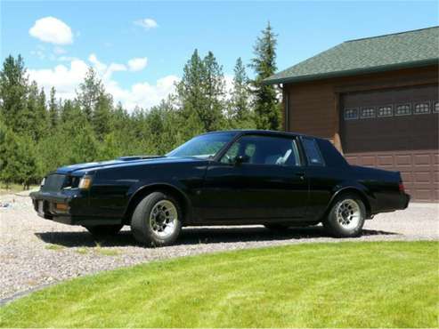 1987 Buick Regal for sale in Cadillac, MI