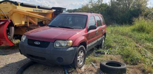 2007 Ford Escape for sale in Cynthiana, KY