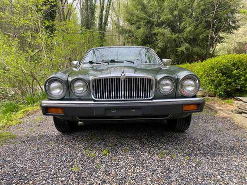 1984 Jaguar XJ6 for sale in Glen Rock, PA