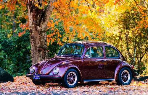 1969 Show Condition Restored Classic VW Volkswagen Beetle Bug No Rust for sale in West Lafayette, IN