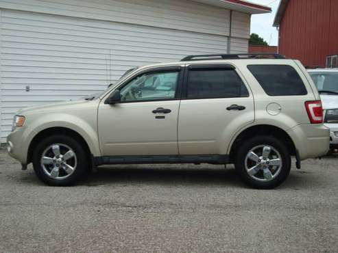 11 Ford Escape for sale in Canton, OH