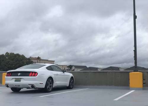 2015 v6 ford mustang - cars & trucks - by owner - vehicle automotive... for sale in Tuscaloosa, AL