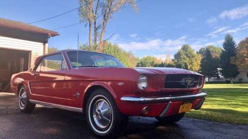 1965 mustang for sale in Dunkirk, NY