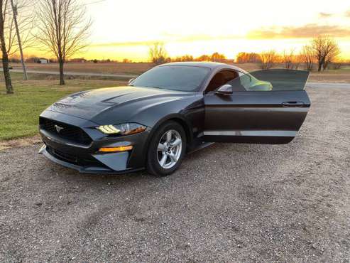 2019 Ford Mustang - cars & trucks - by owner - vehicle automotive sale for sale in Andover, KS