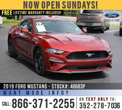 2019 Ford Mustang Ecoboost *** Touchscreen, Remote Start, SiriusXM... for sale in Alachua, AL