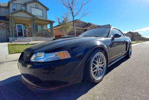 40th Anniversary Mustang GT Convertible (race modified) (must go!) for sale in Fort Collins, CO
