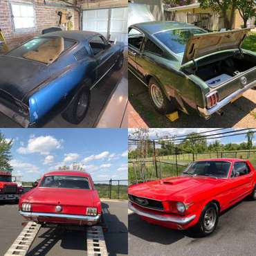 Mustangs WANTED 1965 to 1968 - cars & trucks - by owner - vehicle... for sale in Greensboro, NC