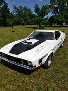 1972 Ford Mustang Fastback for sale in Mascotte, FL