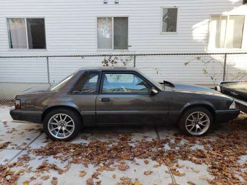 1988 Mustang Notchback for sale in STATEN ISLAND, NY
