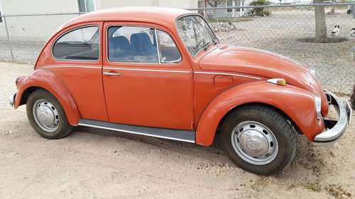 1969 Volkswagen Beetle 8 for sale in Lake Havasu City, AZ