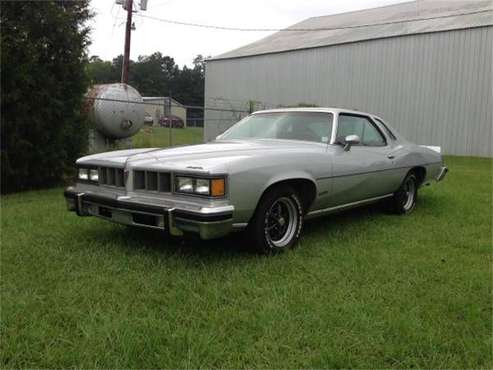 1976 Pontiac LeMans for sale in Cadillac, MI
