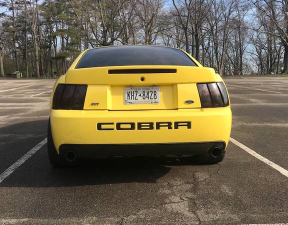 2003 Ford Cobra SVT Terminator for sale in Other, NY – photo 5