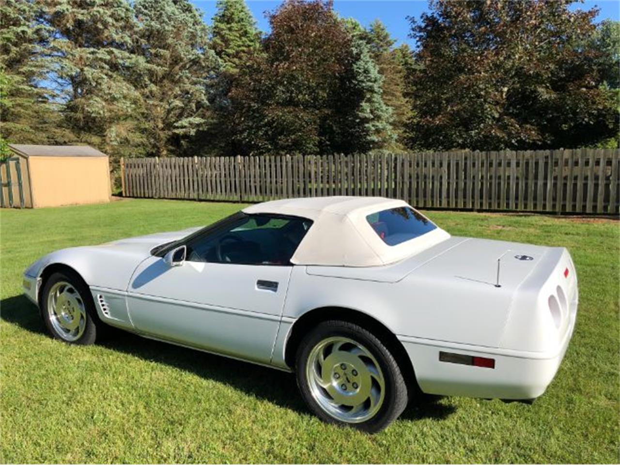 1995 Chevrolet Corvette for sale in Cadillac, MI – photo 2