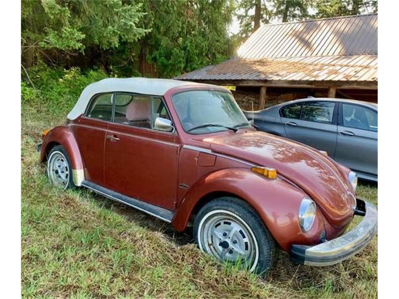 1978 Volkswagen Beetle for sale in Cadillac, MI – photo 4