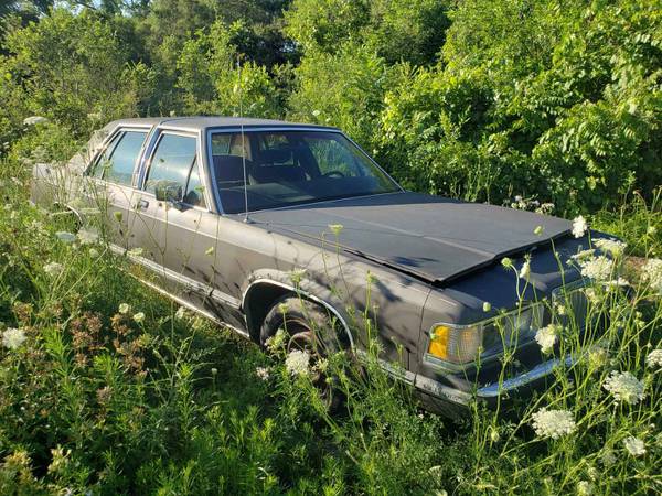 1984 Oldsmobile Delta 88 for sale in Fort Atkinson, WI – photo 5