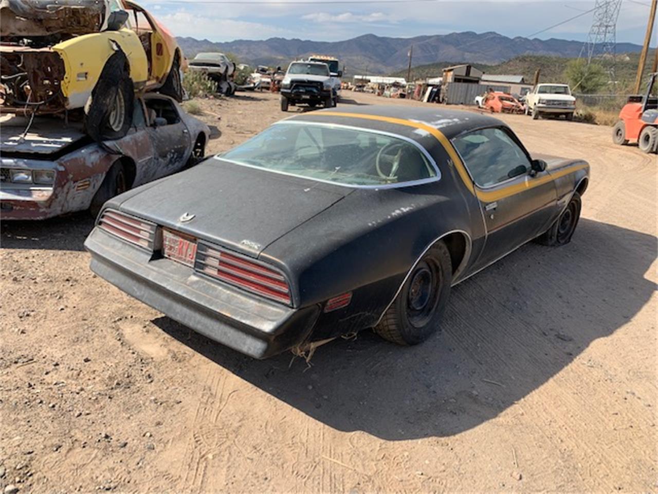 1978 Pontiac Firebird for sale in Phoenix, AZ – photo 2