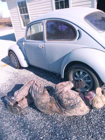 VW Antique 1974 Bug Reduced - cars & trucks - by owner - vehicle... for sale in Middlebrook, VA – photo 2