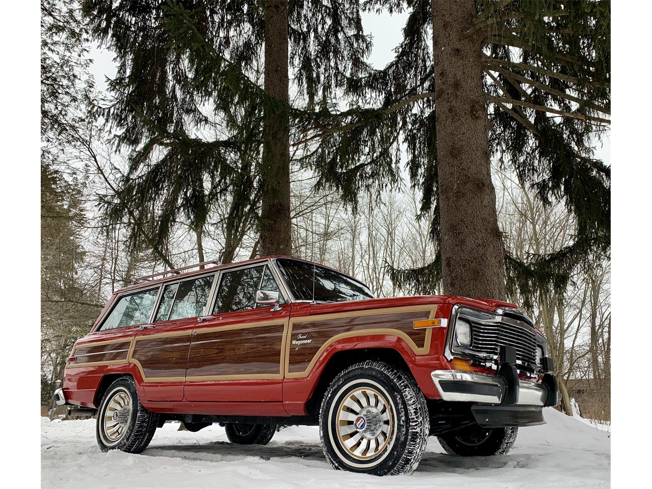 1984 Jeep Grand Wagoneer for sale in Bemus Point, NY – photo 2