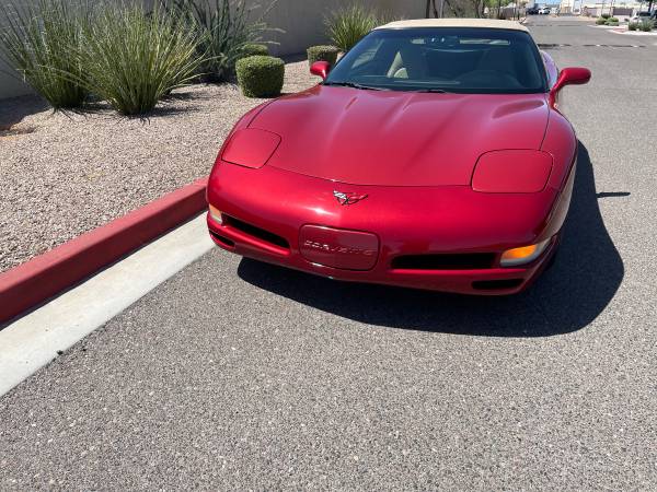 1998 Corvette Convertible for sale in Scottsdale, AZ – photo 8