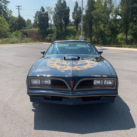 1977 *Pontiac* *Trans Am* *Golden Eagle* Black for sale in Cicero, IN – photo 6