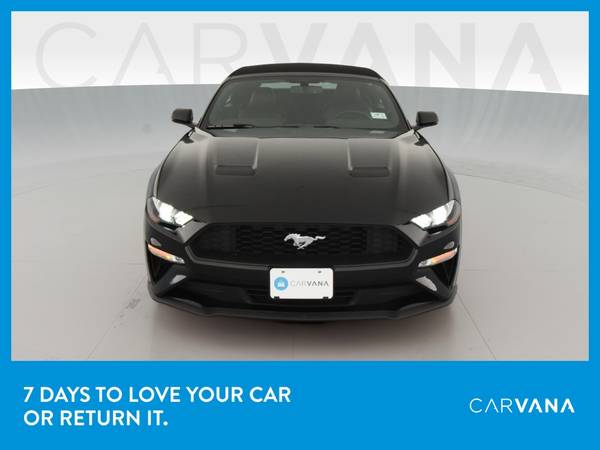 2019 Ford Mustang EcoBoost Convertible 2D Convertible Black for sale in Kingston, NY – photo 13