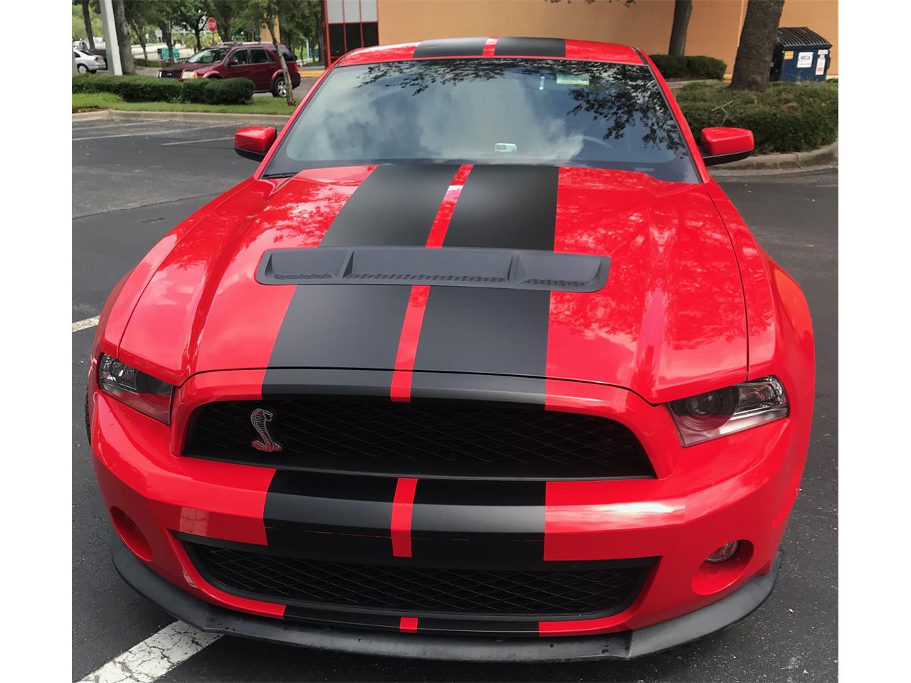 2012 Shelby GT500 for sale in Gainesville, FL – photo 2