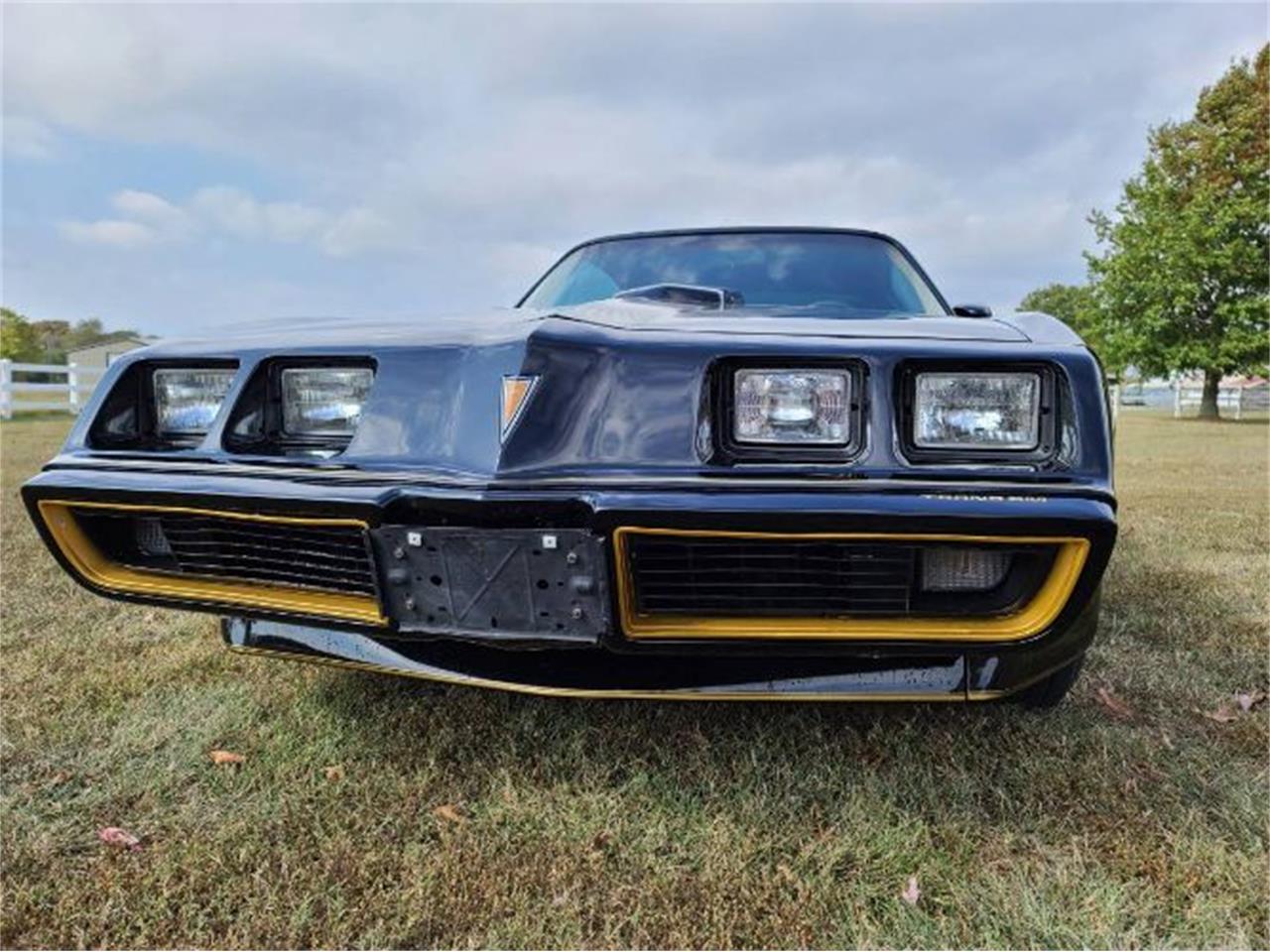 1981 Pontiac Firebird Trans Am for sale in Cadillac, MI – photo 13