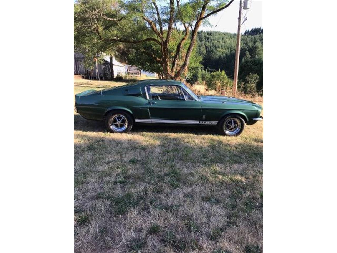 1967 Ford Mustang Shelby for sale in Cadillac, MI – photo 13