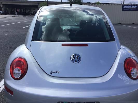 VW BEETLE Negotiable or bette offer - - by dealer for sale in Philadelphia, PA – photo 2