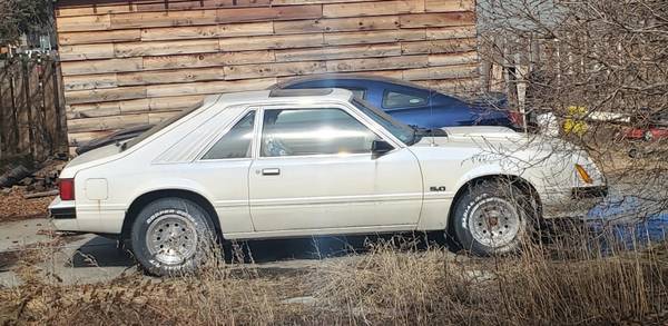 1981 mustang fox body for sale in Anchorage, AK – photo 2