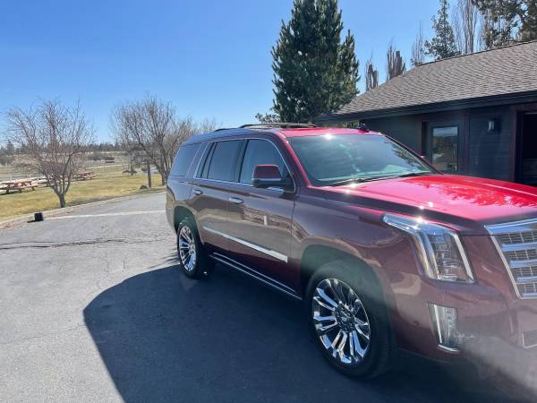2017 Cadillac Escalade Premium Luxury for sale in Bend, OR – photo 2
