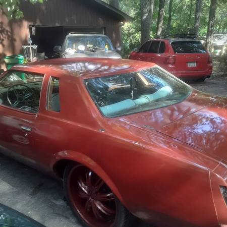 1977 Buick Regal - cars & trucks - by owner - vehicle automotive sale for sale in Stockbridge , GA – photo 3