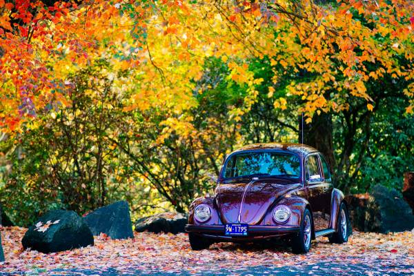 1969 Show Condition Restored Classic VW Volkswagen Beetle Bug No Rust for sale in West Lafayette, IN – photo 3