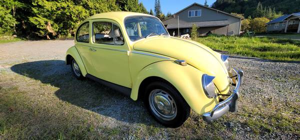 1965 Volkswagen Beetle for sale in Mount Vernon, WA – photo 5