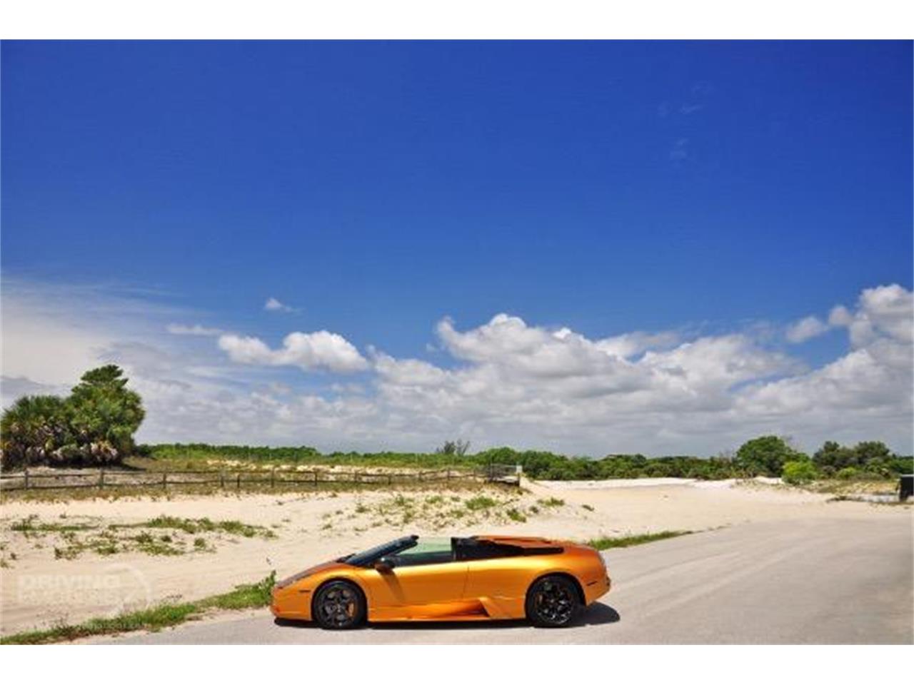 2005 Lamborghini Murcielago for sale in West Palm Beach, FL – photo 60
