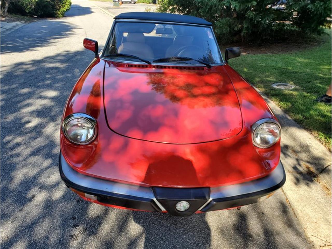 1987 Alfa Romeo Spider for sale in Greensboro, NC – photo 3