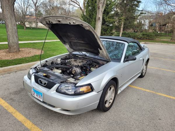 Ford Mustang Convertable for sale in Glenview, IL – photo 5