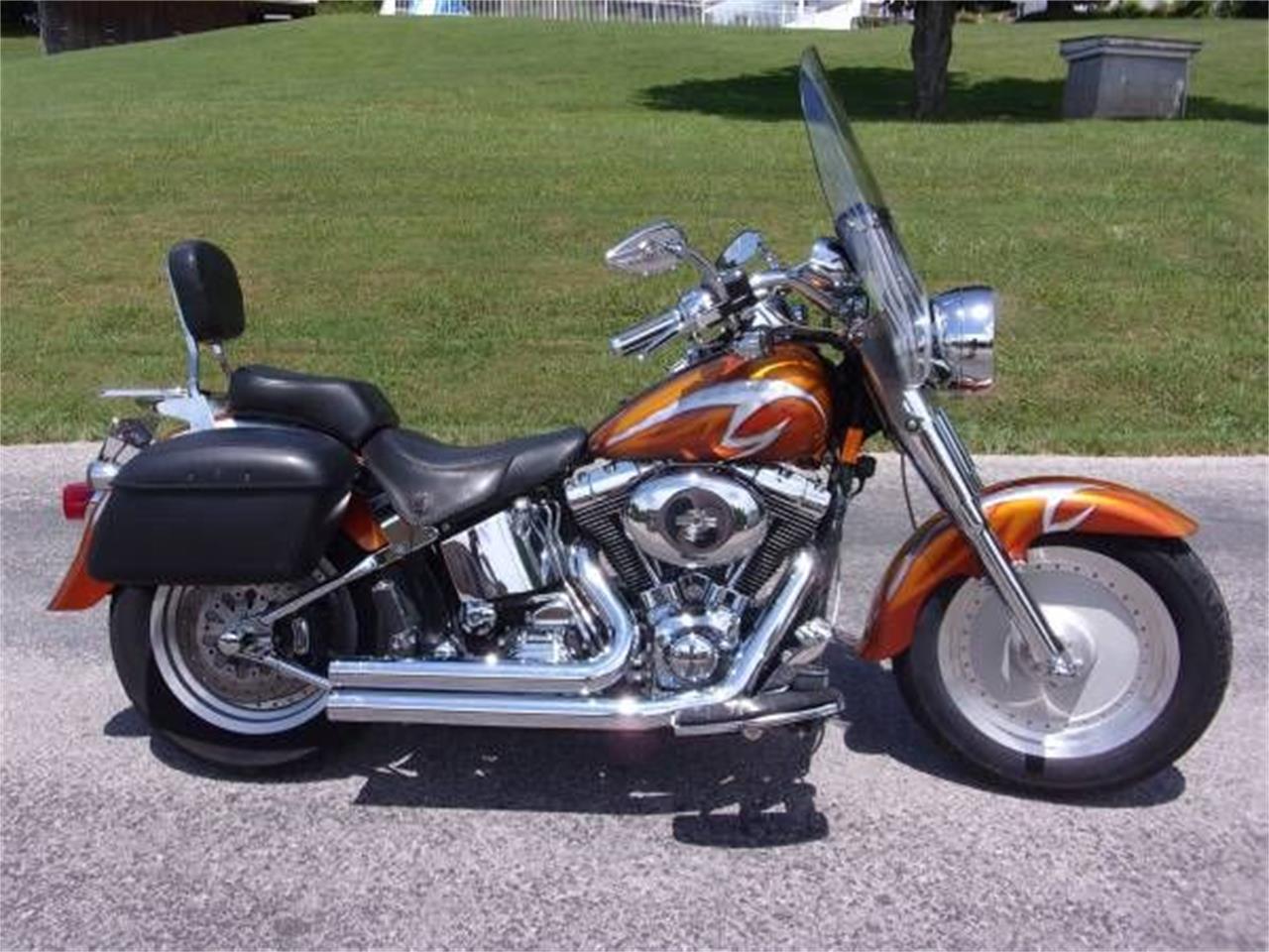 2001 Harley-Davidson Fat Boy for sale in Cadillac, MI – photo 3