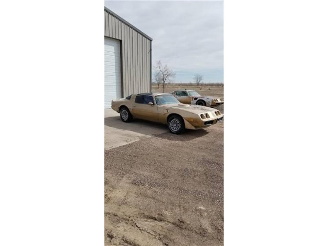 1979 Pontiac Firebird Trans Am for sale in Cadillac, MI – photo 14