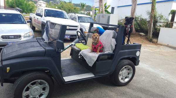 Hummer H3 STREET Legal golf cart for sale in Other, Other