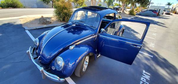 100% RESTORED 65 EURO BUG for sale in San Diego, CA – photo 3