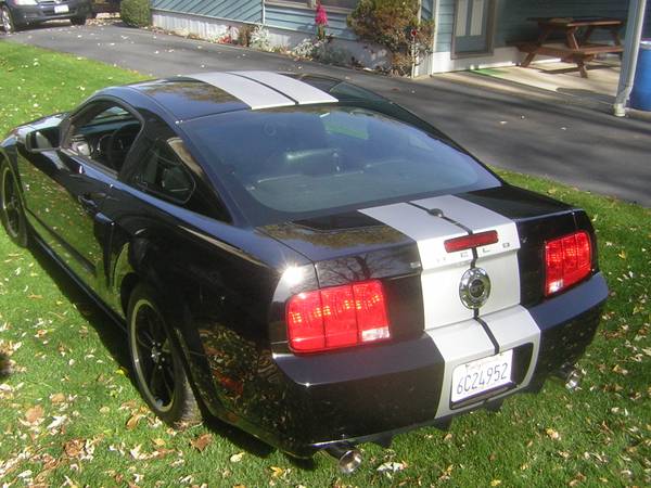 2007 Shelby GT Mustang for sale in Vestal, NY – photo 3