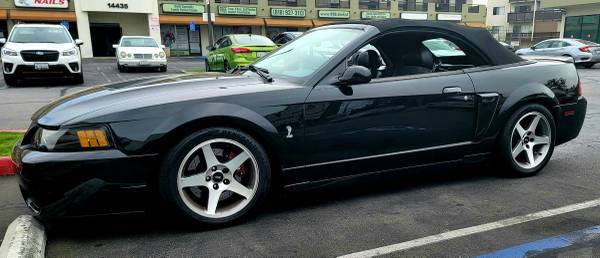04 SVT Cobra Mustang Terminator for sale in Van Nuys, CA – photo 3
