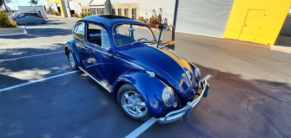 100% RESTORED 65 EURO BUG for sale in San Diego, CA – photo 2